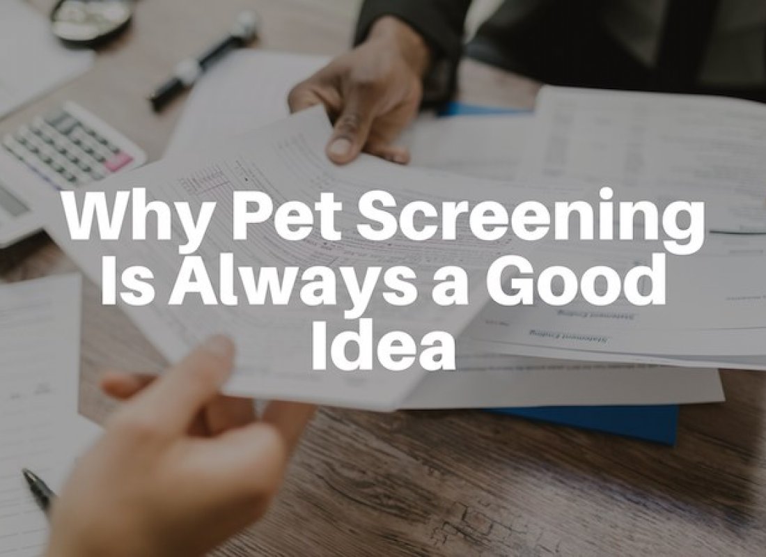 Why Pet Screening Is Always a Good Idea
