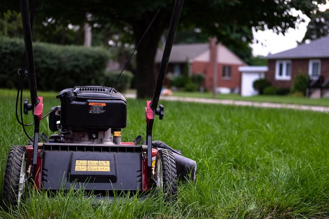 lawn-mower