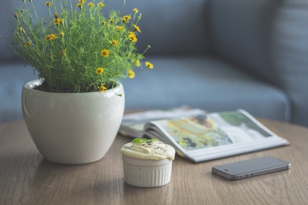 plant-coffee-table-book